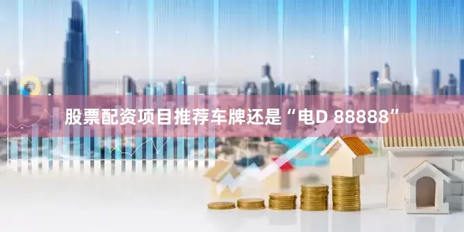 股票配资项目推荐车牌还是“电D 88888”