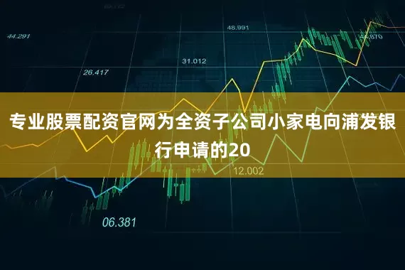 专业股票配资官网为全资子公司小家电向浦发银行申请的20