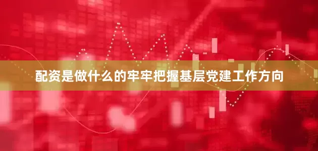 配资是做什么的牢牢把握基层党建工作方向