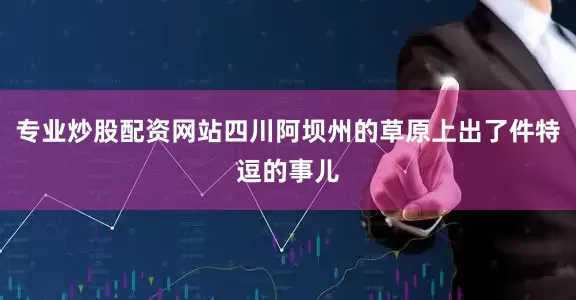 专业炒股配资网站四川阿坝州的草原上出了件特逗的事儿