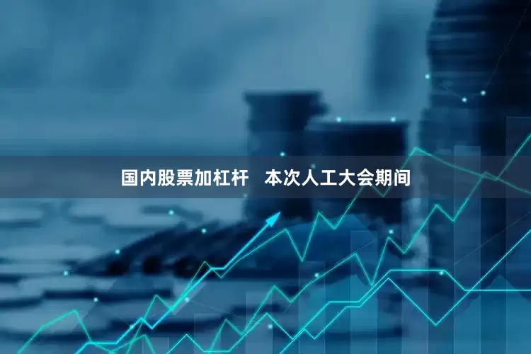 国内股票加杠杆   本次人工大会期间